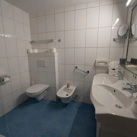 Alpenhotel Regina 4*