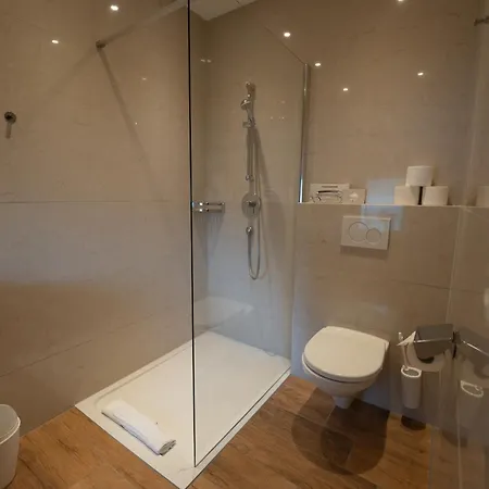 Alpenhotel Regina 4*