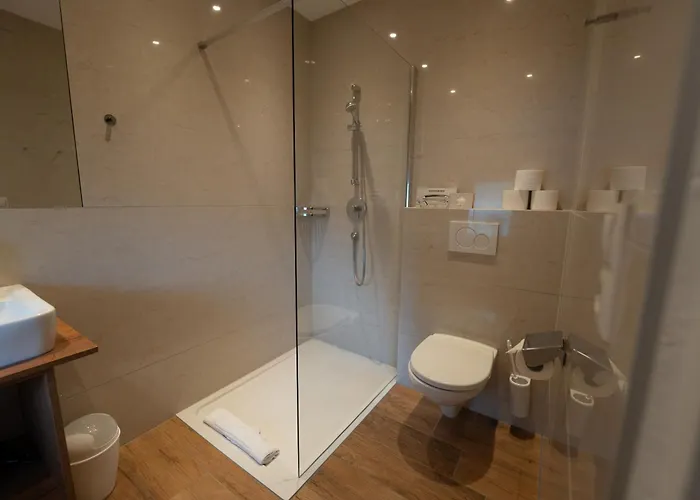 Alpenhotel Regina 4*